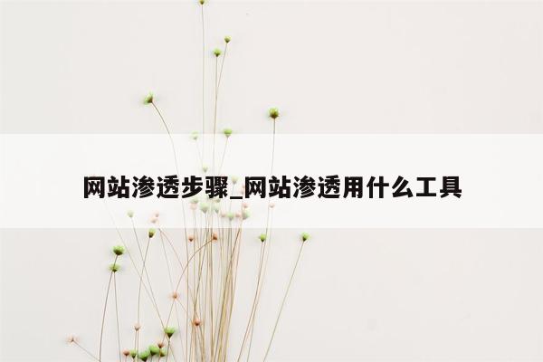 网站渗透步骤_网站渗透用什么工具