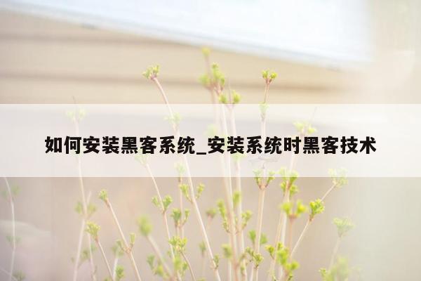 如何安装黑客系统_安装系统时黑客技术