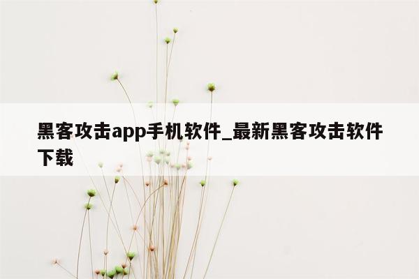 黑客攻击app手机软件_最新黑客攻击软件下载