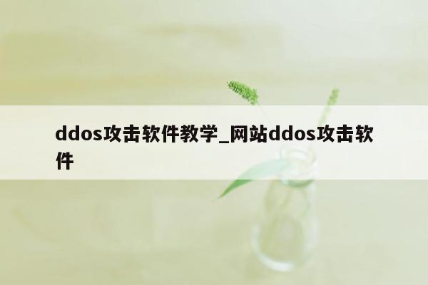 ddos攻击软件教学_网站ddos攻击软件