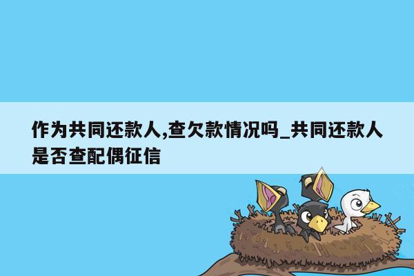 作为共同还款人,查欠款情况吗_共同还款人是否查配偶征信