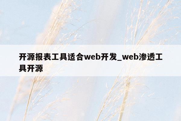 开源报表工具适合web开发_web渗透工具开源