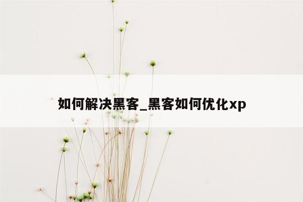 如何解决黑客_黑客如何优化xp