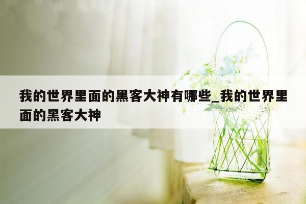 我的世界里面的黑客大神有哪些_我的世界里面的黑客大神