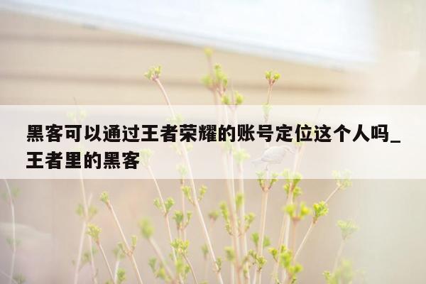 黑客可以通过王者荣耀的账号定位这个人吗_王者里的黑客