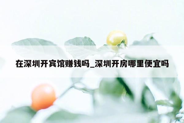 在深圳开宾馆赚钱吗_深圳开房哪里便宜吗