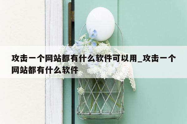 攻击一个网站都有什么软件可以用_攻击一个网站都有什么软件