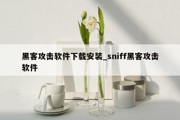 黑客攻击软件下载安装_sniff黑客攻击软件