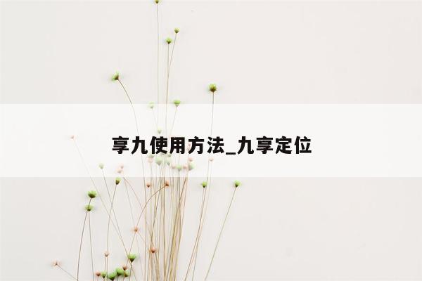 享九使用方法_九享定位