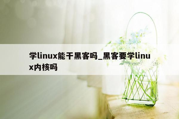学linux能干黑客吗_黑客要学linux内核吗