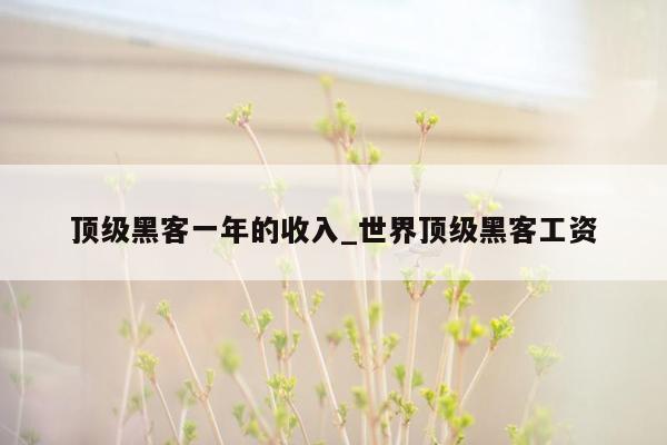 顶级黑客一年的收入_世界顶级黑客工资