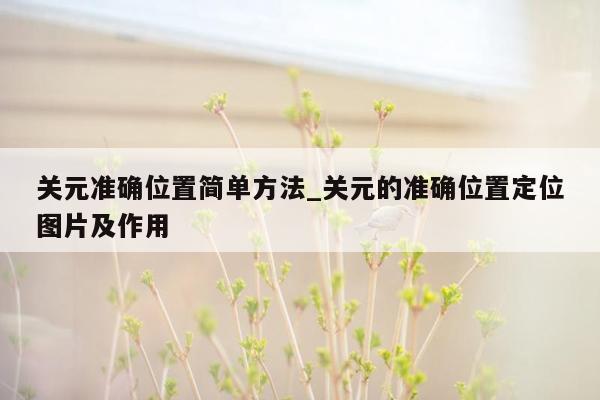 关元准确位置简单方法_关元的准确位置定位图片及作用