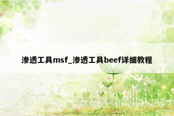 渗透工具msf_渗透工具beef详细教程