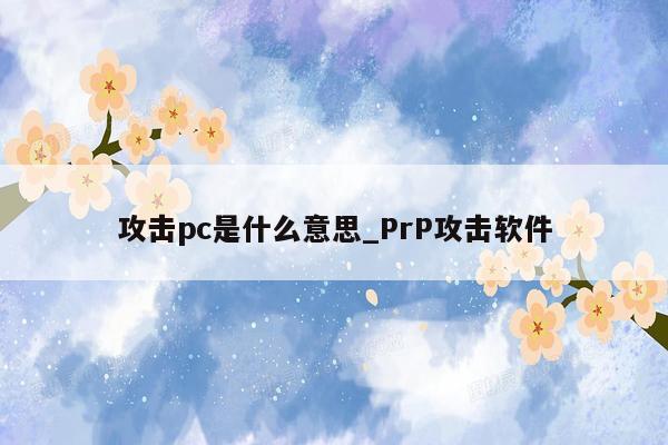 攻击pc是什么意思_PrP攻击软件