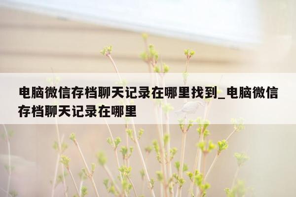 电脑微信存档聊天记录在哪里找到_电脑微信存档聊天记录在哪里