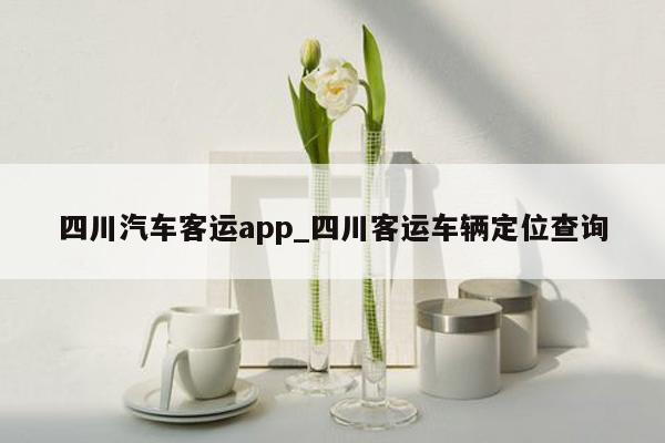 四川汽车客运app_四川客运车辆定位查询