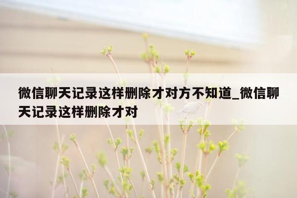 微信聊天记录这样删除才对方不知道_微信聊天记录这样删除才对