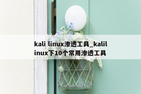 kali linux渗透工具_kalilinux下10个常用渗透工具