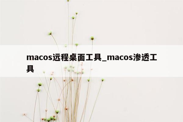 macos远程桌面工具_macos渗透工具