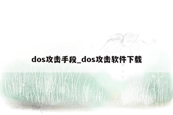 dos攻击手段_dos攻击软件下载