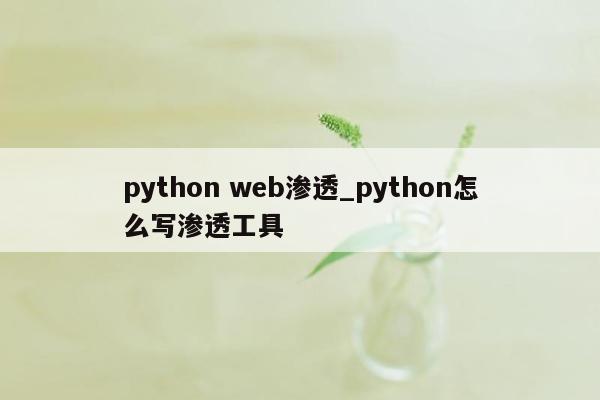 python web渗透_python怎么写渗透工具