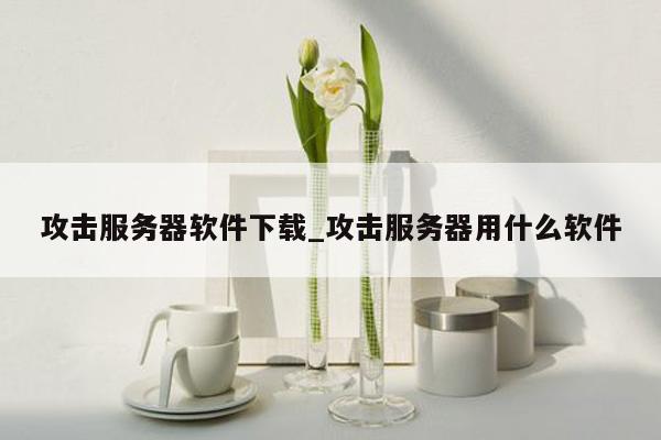 攻击服务器软件下载_攻击服务器用什么软件