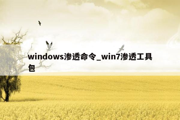 windows渗透命令_win7渗透工具包