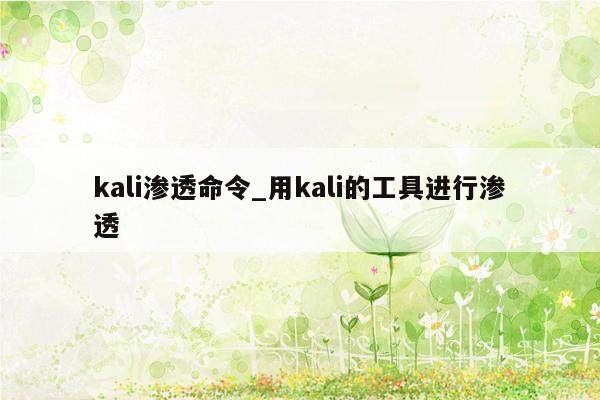 kali渗透命令_用kali的工具进行渗透