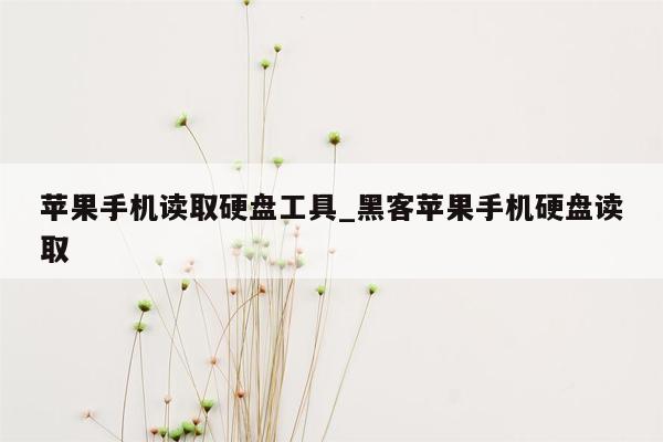 苹果手机读取硬盘工具_黑客苹果手机硬盘读取