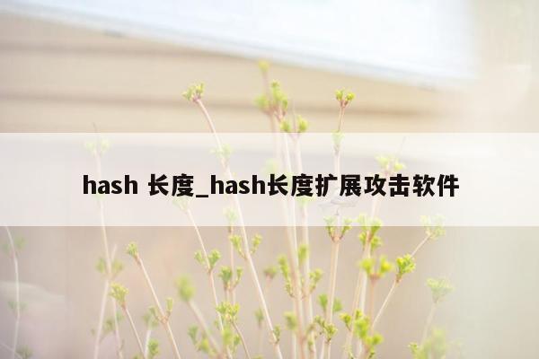 hash 长度_hash长度扩展攻击软件