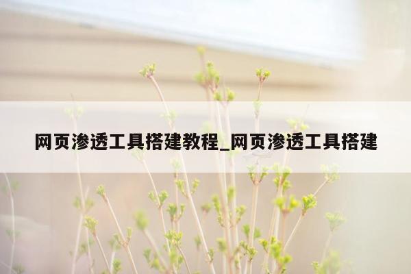 网页渗透工具搭建教程_网页渗透工具搭建