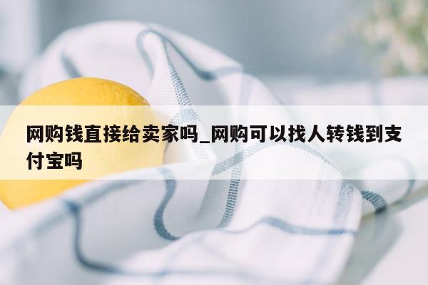 网购钱直接给卖家吗_网购可以找人转钱到支付宝吗