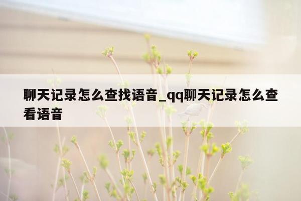 聊天记录怎么查找语音_qq聊天记录怎么查看语音