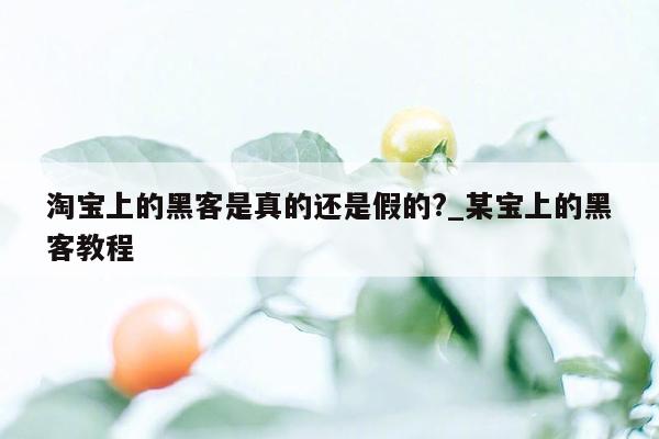 淘宝上的黑客是真的还是假的?_某宝上的黑客教程