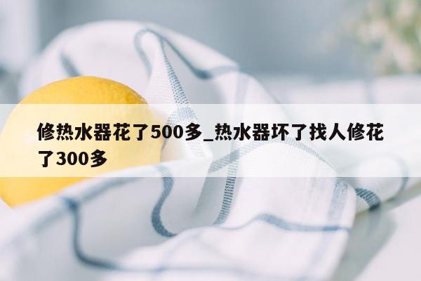 修热水器花了500多_热水器坏了找人修花了300多