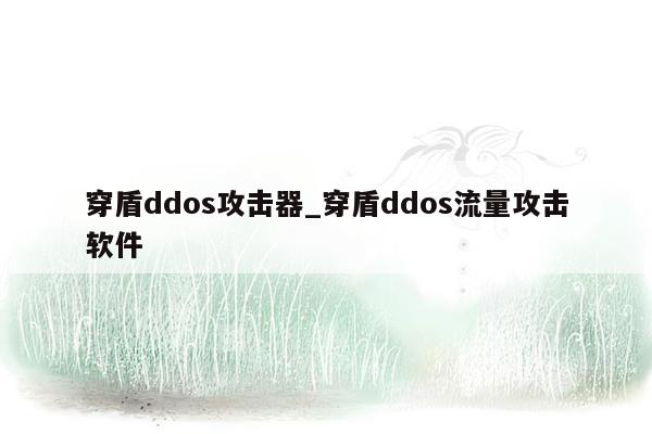 穿盾ddos攻击器_穿盾ddos流量攻击软件