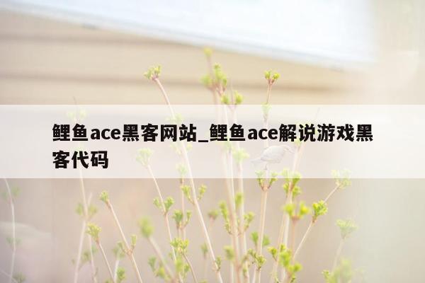 鲤鱼ace黑客网站_鲤鱼ace解说游戏黑客代码