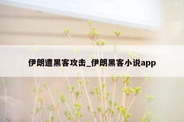 伊朗遭黑客攻击_伊朗黑客小说app