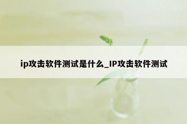 ip攻击软件测试是什么_IP攻击软件测试