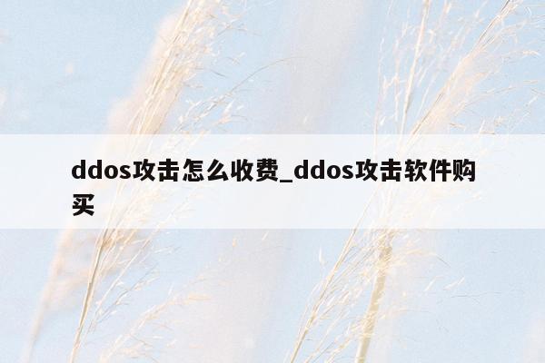 ddos攻击怎么收费_ddos攻击软件购买