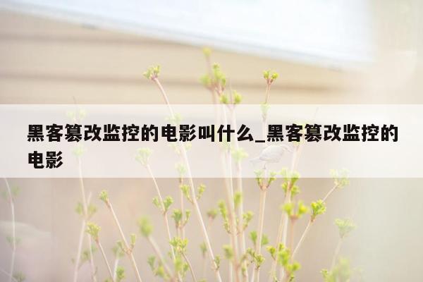 黑客篡改监控的电影叫什么_黑客篡改监控的电影