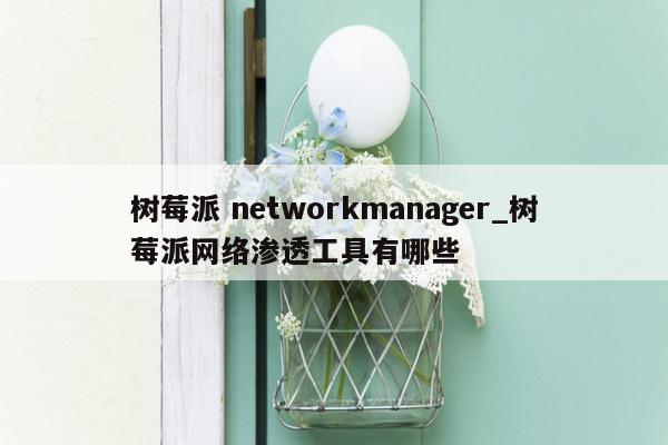 树莓派 networkmanager_树莓派网络渗透工具有哪些