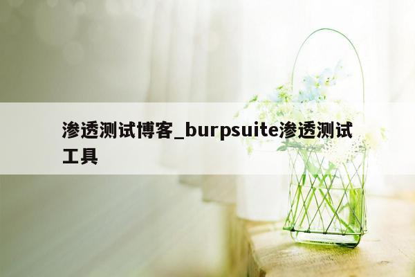 渗透测试博客_burpsuite渗透测试工具