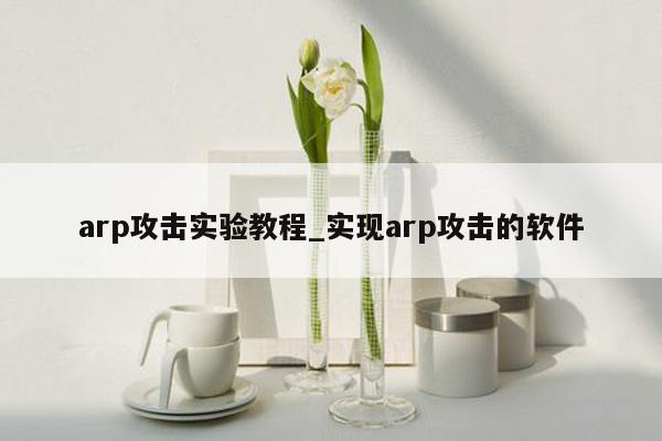 arp攻击实验教程_实现arp攻击的软件