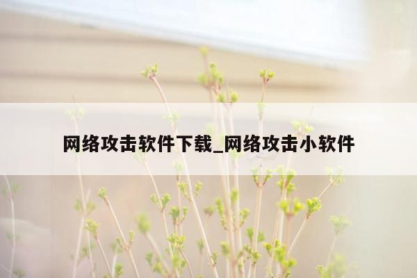 网络攻击软件下载_网络攻击小软件